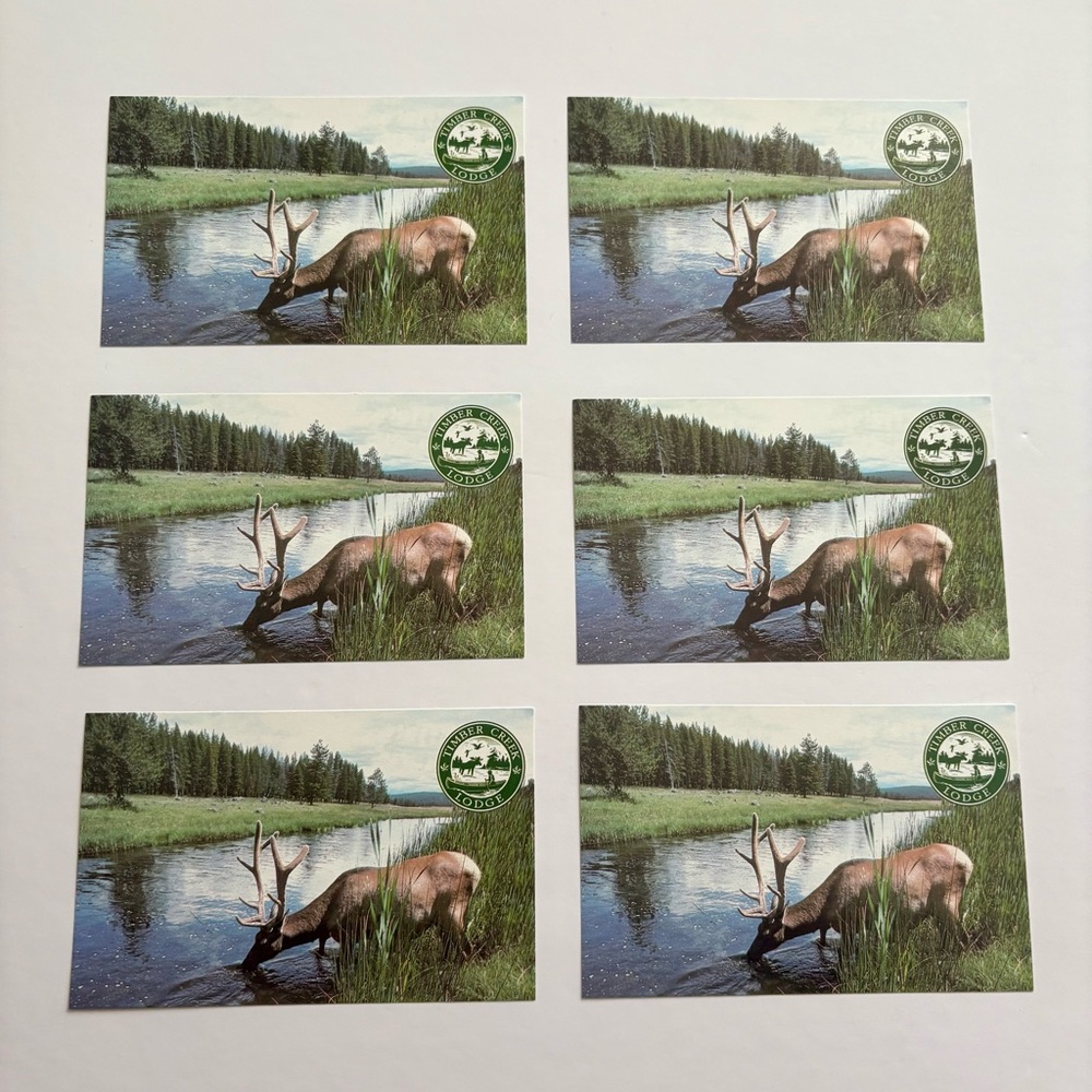 3/$25 Vintage Nature Timber Creek Lodge Postcards